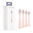 Ordo Sonic + Brush Heads Rose Gold 4 par pack