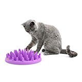 Northmate Interactive Cat Feeder