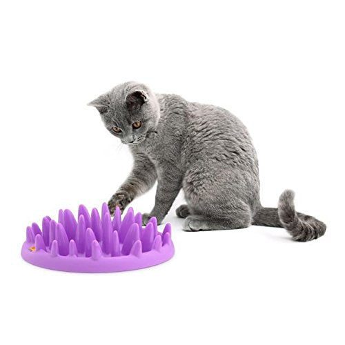 Northmate Interactive Cat Feeder