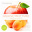 Clearspring Organic Apple & ApricoT Dessert 2 x 100g