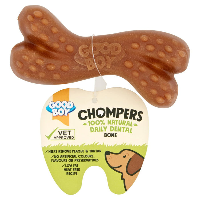 Bon garçon chompers quotidien dentaire osseux mâcher un gâteau à chien