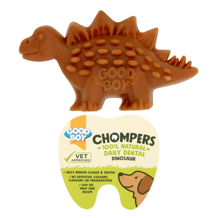 Bon garçon chompers quotidien dentaire dino mâcher un gâteau à chiens