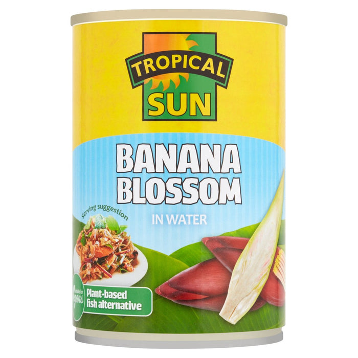 Banane tropical Sun Banana dans l'eau 400g