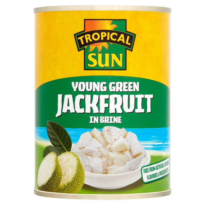 Tropical Sun Jackfruit in Sole 560g