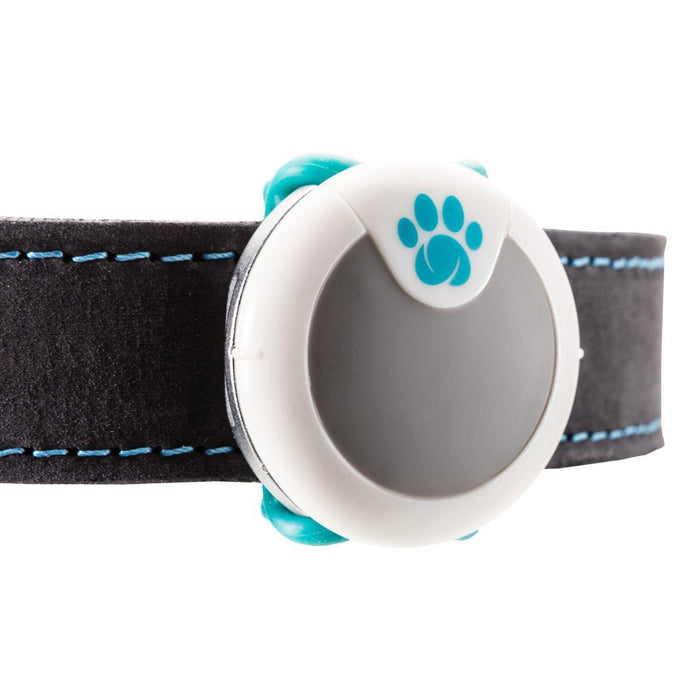 Bien sûr Petcare Animo Activity & Behavior Monitor