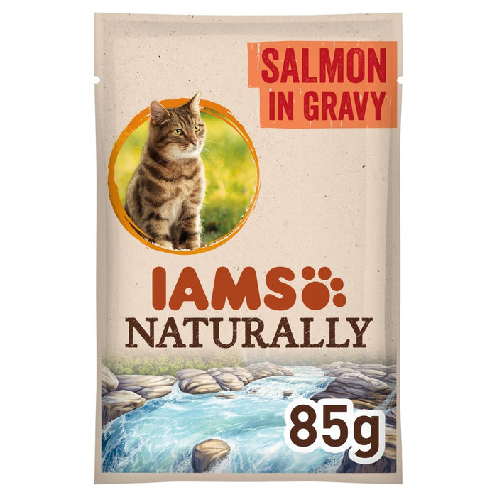 IAMs natürlich erwachsener Katzenbeutel mit Lachs 85G