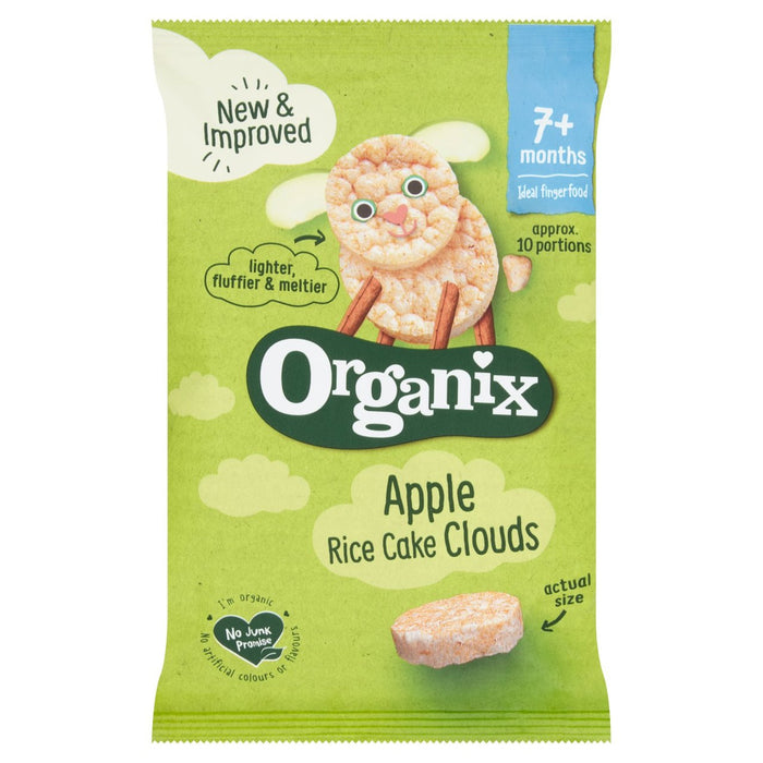 Coussins de gâteau de riz aux pommes organix 40g